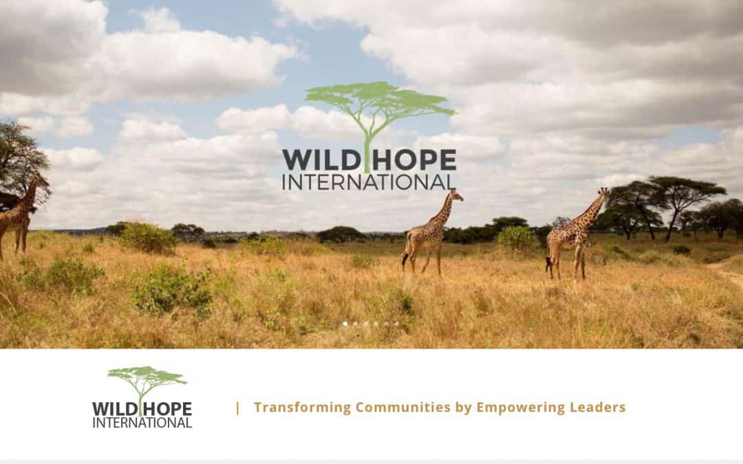 Wild Hope International